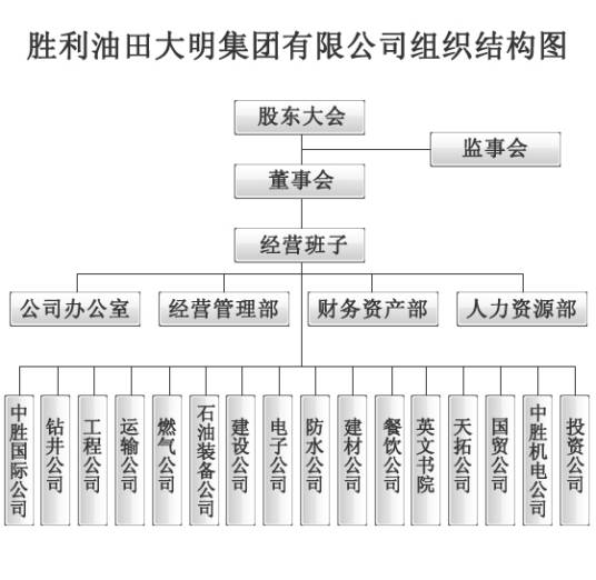 胜利油田大明集团