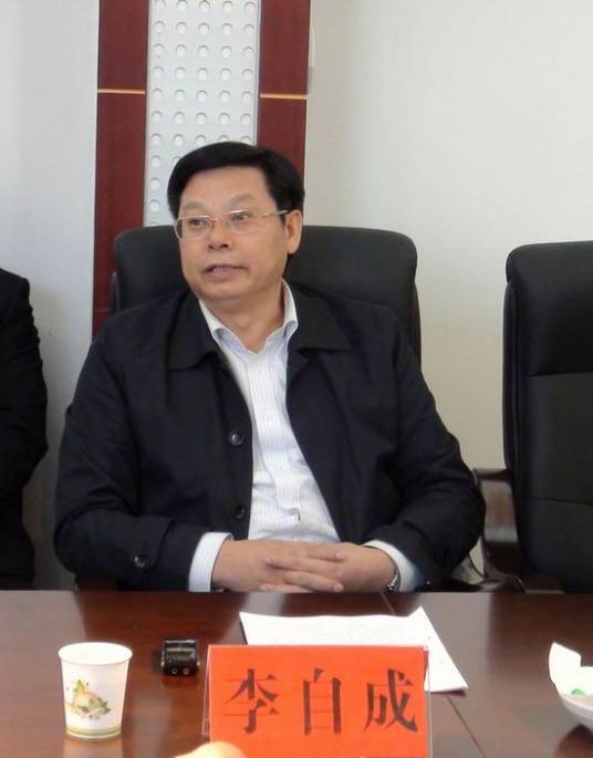 李自成（湖南省怀化市人民政府原副市长、党组成员）