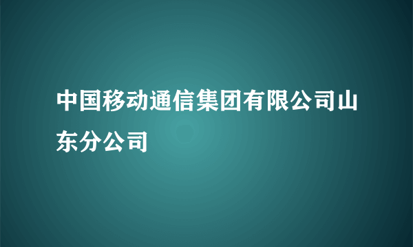 中国移动通信集团有限公司山东分公司