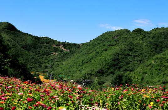 百花谷风景区