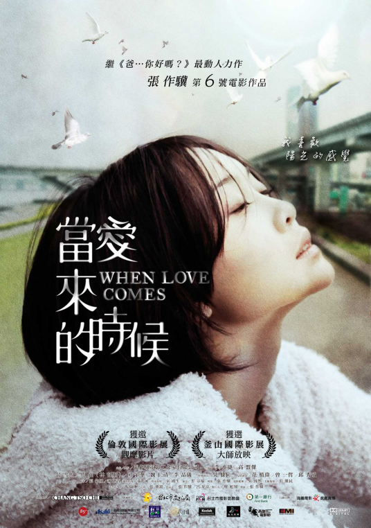 当爱来的时候（2010年张作骥执导电影）