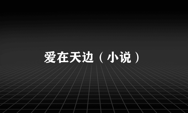 爱在天边（小说）