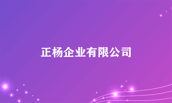 正杨企业有限公司