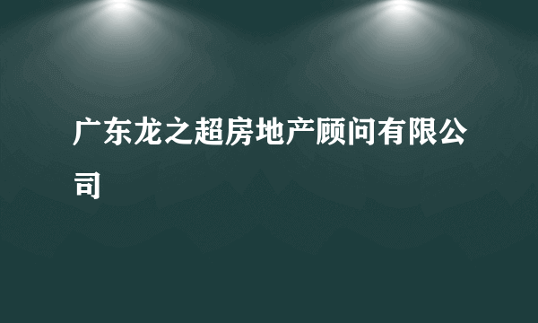 广东龙之超房地产顾问有限公司