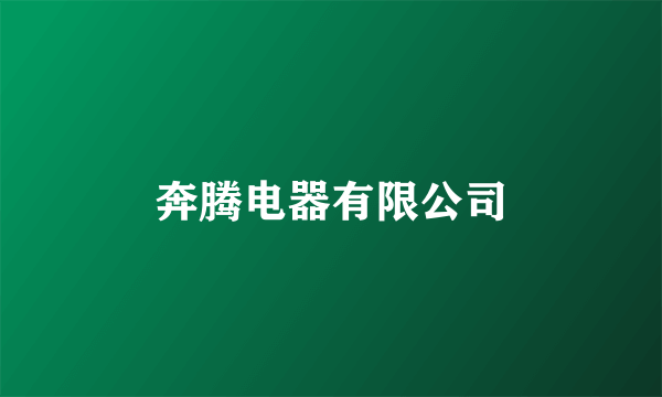 奔腾电器有限公司