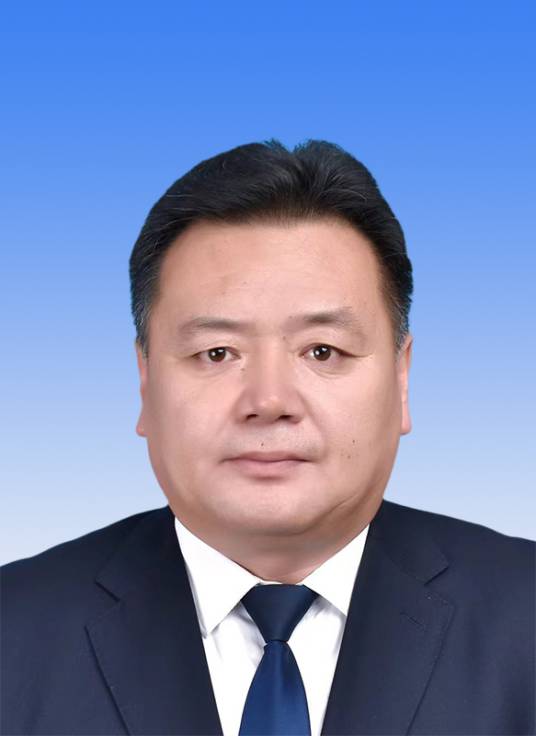 张雪峰（辽宁省阜新市太平区委副书记、区人民政府党组书记、区长）