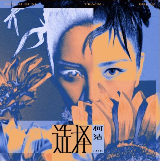 选择（何洁演唱歌曲）