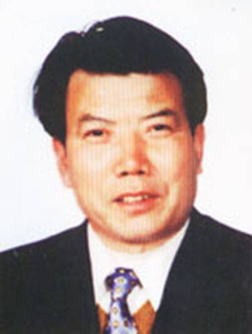 张新成（北京书法家）
