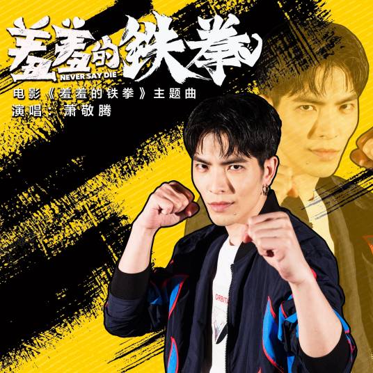 羞羞的铁拳（萧敬腾演唱歌曲）