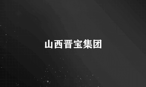 山西晋宝集团