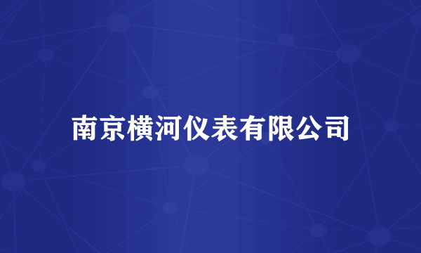 南京横河仪表有限公司