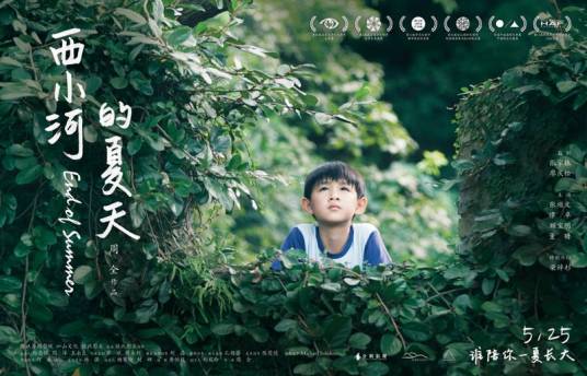 西小河的夏天