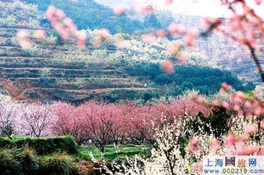 桃花坞（苏州市姑苏区内景点）