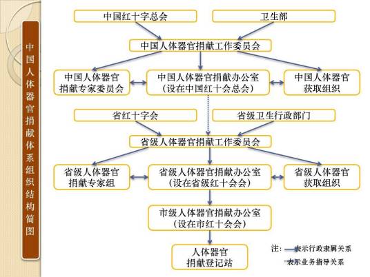 人体器官捐献体系