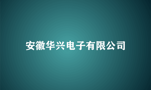 安徽华兴电子有限公司