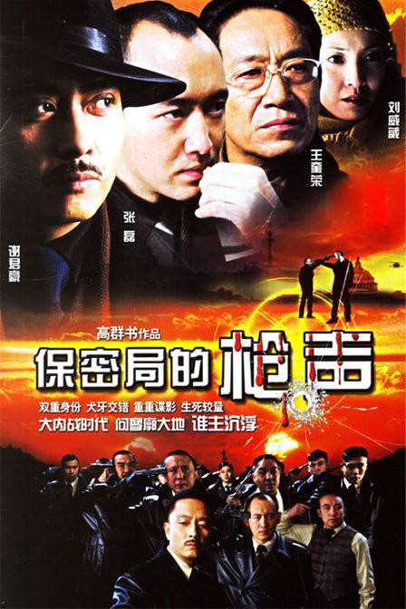 保密局的枪声（2008年高群书执导电视剧）