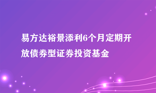 易方达裕景添利6个月定期开放债券型证券投资基金