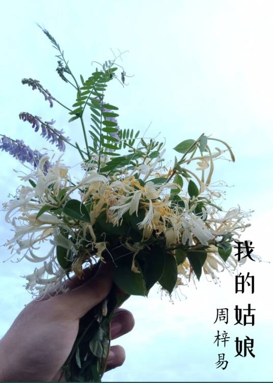 我的姑娘（2020年钟秋雨演唱的歌曲）