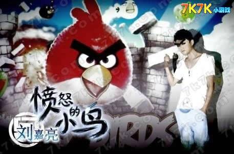 愤怒的小鸟（2011年刘嘉亮演唱的歌曲）
