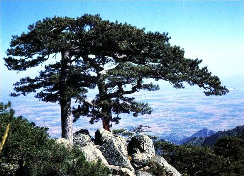 青龙山（辽宁省盖州市青龙山）
