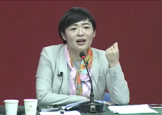 田丽（北京大学新媒体与网络传播系讲师）