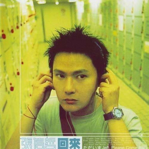 不做你的爱人（张信哲演唱歌曲）