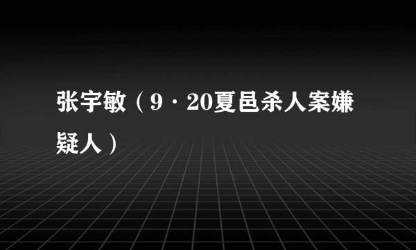 张宇敏（9·20夏邑杀人案嫌疑人）