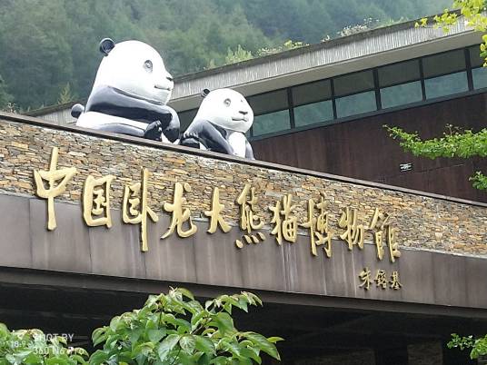 卧龙大熊猫繁育中心