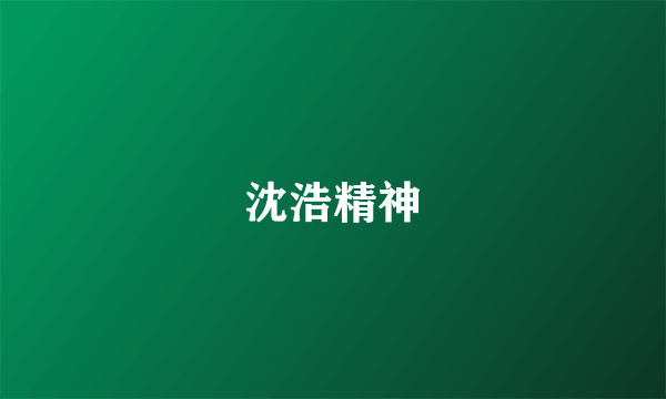 沈浩精神
