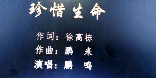 珍惜生命（徐高栋作词的歌曲）