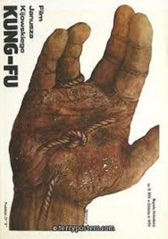 功夫（波兰1979年亚努什·吉约夫斯基执导的电影）