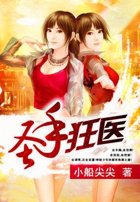 圣手狂医（小船尖尖创作的网络小说）