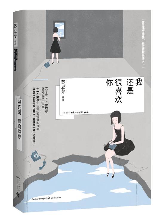 我还是很喜欢你（2016年长江文艺出版社出版的图书）