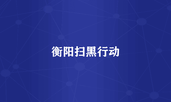 衡阳扫黑行动