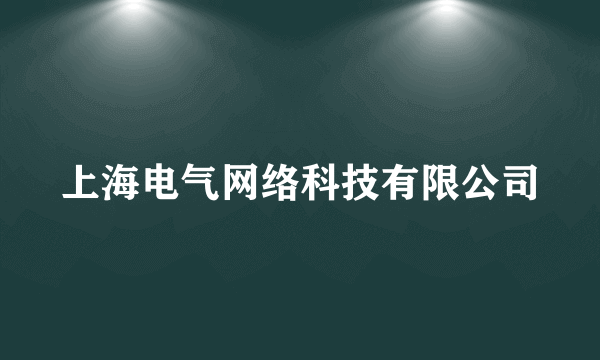 上海电气网络科技有限公司