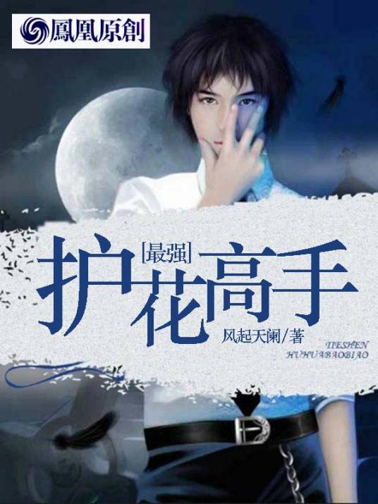 最强护花高手（风起天阑创作的网络小说）