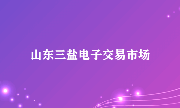 山东三盐电子交易市场