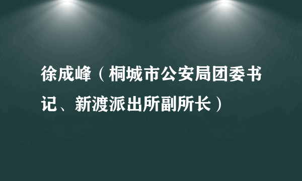 徐成峰（桐城市公安局团委书记、新渡派出所副所长）