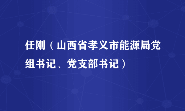 任刚（山西省孝义市能源局党组书记、党支部书记）
