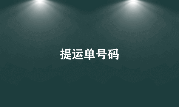 提运单号码
