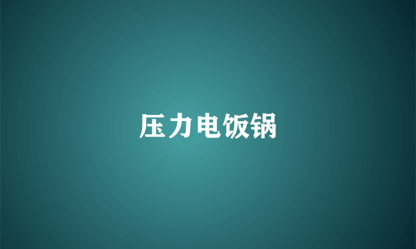 压力电饭锅