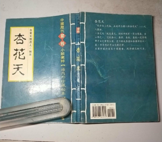 杏花天（佚名创作的清代小说）