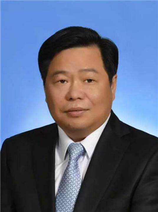 叶强（农工党上海市第十四届委员会副主任委员）