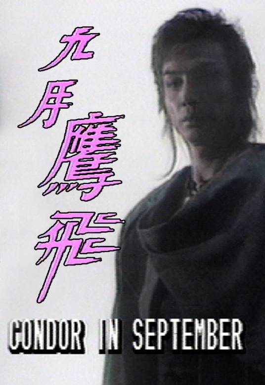 九月鹰飞（1986年刘松仁、魏秋桦主演的电视剧）