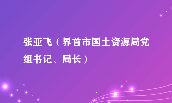 张亚飞（界首市国土资源局党组书记、局长）