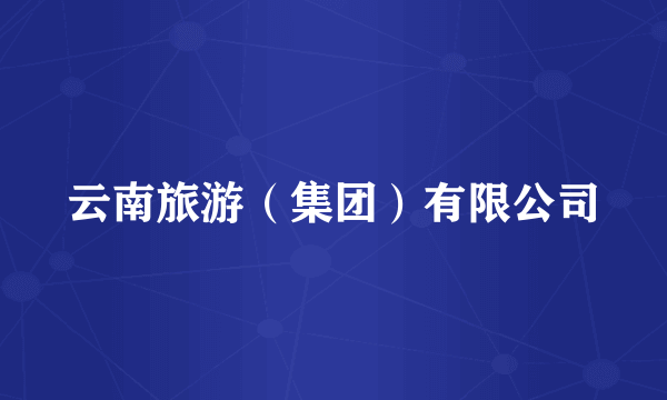 云南旅游（集团）有限公司