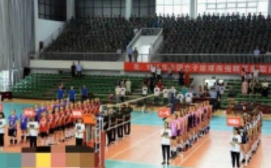 2019年全国女子排球四强精英赛
