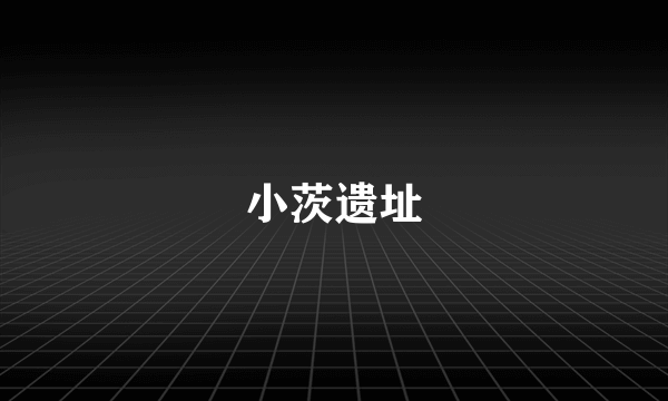 小茨遗址