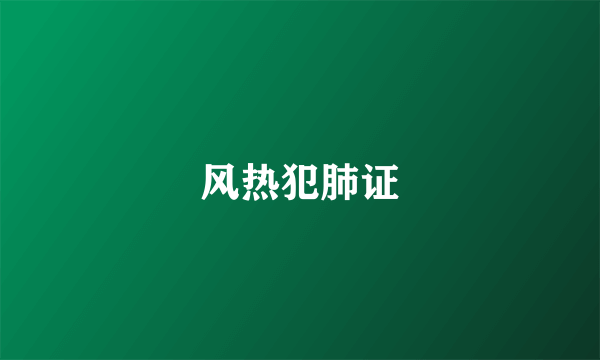风热犯肺证