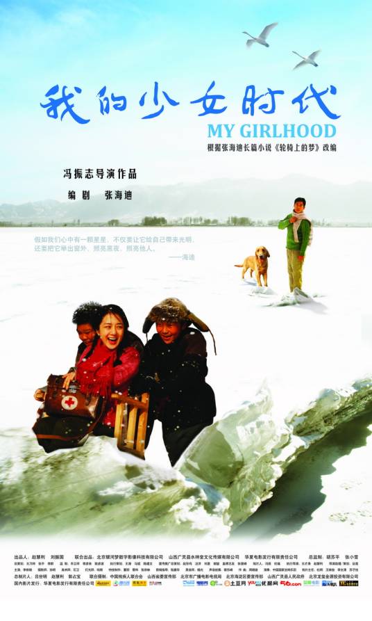 我的少女时代（2011年冯振志导演电影）